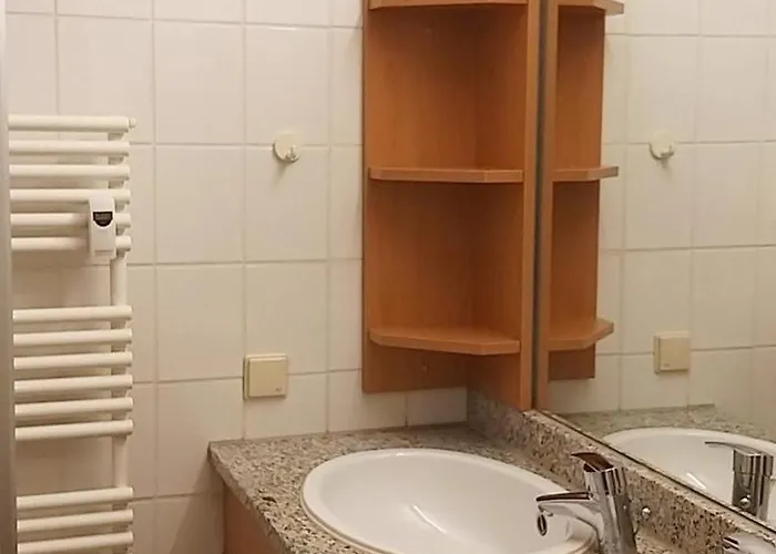 公寓 Appartement-haus Regina 4 博尔库姆